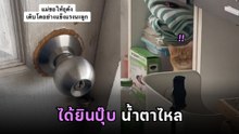 สาวกลับไปหาแมวที่เคยเลี้ยงกับแฟนเก่า ประโยคแรกที่ลูกร้องทัก น้ำตารื้น