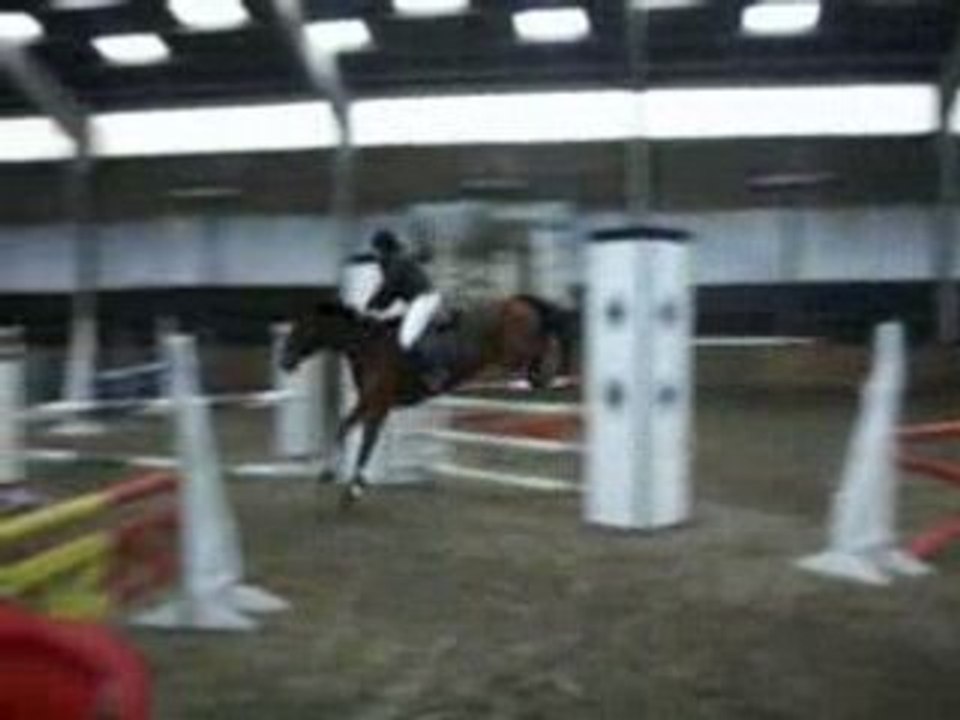IMGP1567