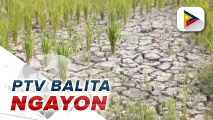 El Niño Alert, itinaas ng PAGASA