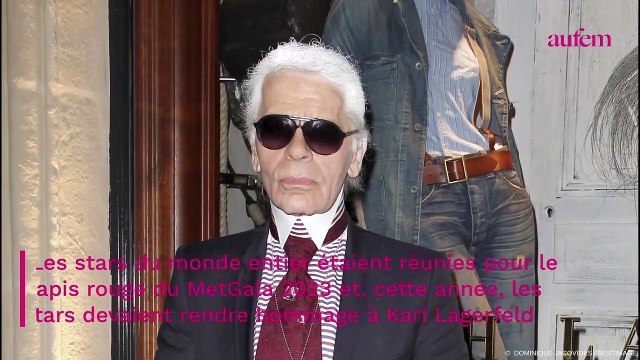 Marion Cotillard audacieuse : elle surprend avec une nouvelle couleur de cheveux étonnante (PHOTO)