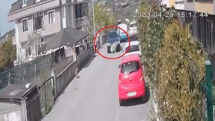 Köpeği bile bile ezdi, yoluna devam etti