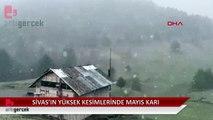 Sivas'ın yüksek kesimlerinde Mayıs karı
