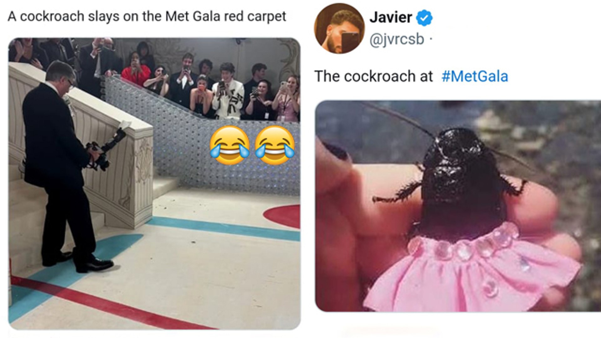 ⁣Met Gala Memes 2023 : Cockroach Red Carpet Met Gala Funny Memes Viral | Boldsky
