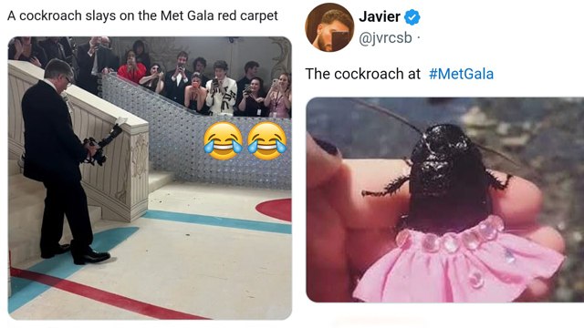 Met Gala Memes 2023 : Cockroach Red Carpet Met Gala Funny Memes Viral | Boldsky