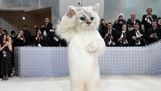Jared Leto, disfrazado de gato en la Gala Met