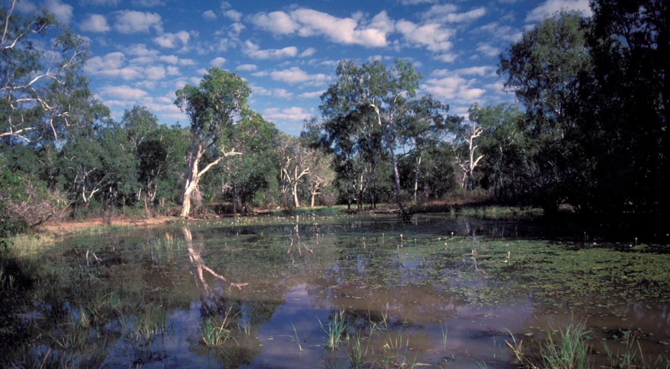 Angler offenbar von krokodilen gefressen worden