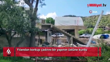 Hatay’da yılandan korkan vatandaş çadırını yapının üstüne kurdu