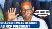 Sharad Pawar resigns as chief of NCP, says he won’t contest elections henceforth | Oneindia News