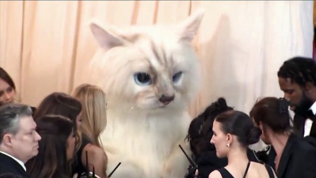 Les stars mondiales de la mode et du showbiz ont rendu hommage hier à Karl Lagerfeld lors de la soirée du gala du Met à New York - Regardez