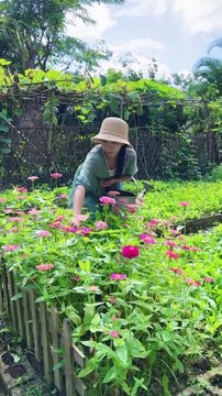 Enjoy beautiful nature with rural life