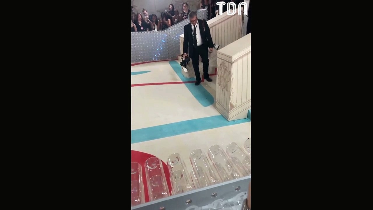 Met Gala : Un cafard s'invite sur le tapis rouge et vole la vedette aux stars