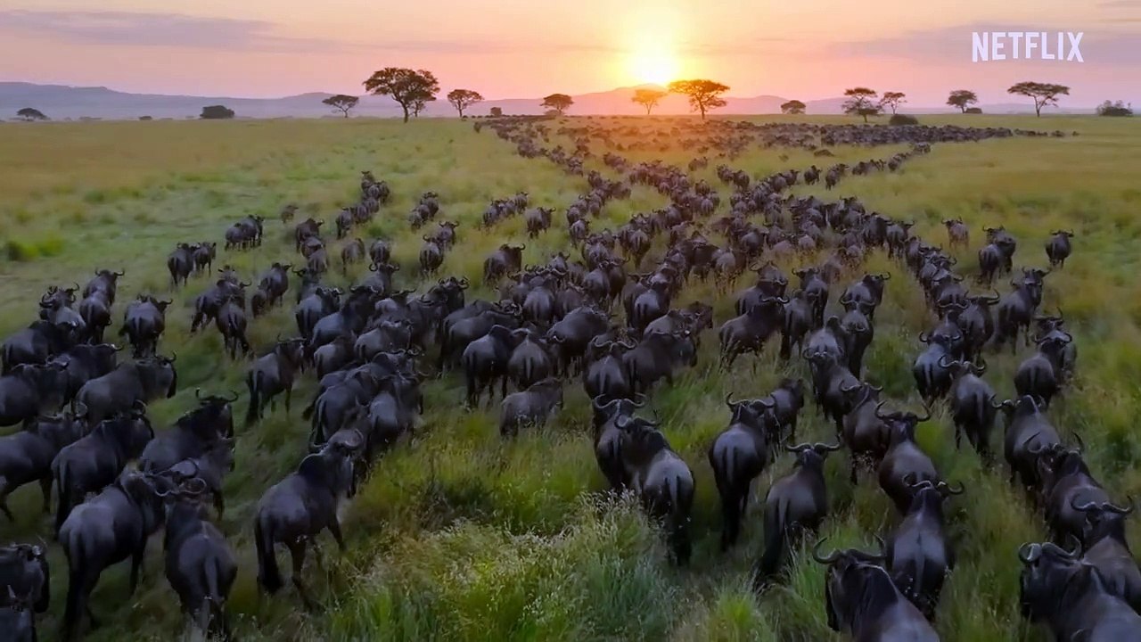 Unser planet ii teaser ov