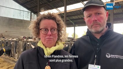 La ferme laitière Vandecandelaere dans les Flandres (Belgique)