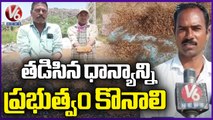 Paddy Grains Damaged Due To Heavy Rains, Farmers Demands Govt To Buy Crop | Nizamabad | V6 News