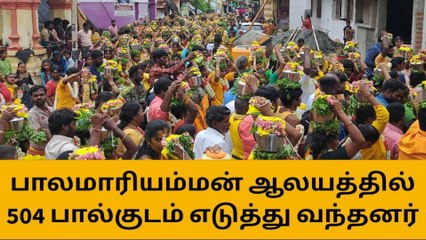தஞ்சை: பால மாரியம்மன் ஆலய சித்திரை திருவிழா!