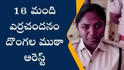 చిత్తూరు: 16 మంది ఎర్రచందనం దొంగల ముఠా అరెస్ట్