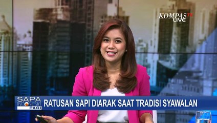 Unik! Tradisi Turun-temurun Lebaran Sapi sebagai Ucapan Syukur di Boyolali