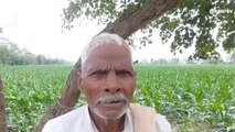 बदायूं : बारिश ने मचाया तांडव, किसानों की फसल हुई तहस-नहस अन्नदाता हुए परेशान