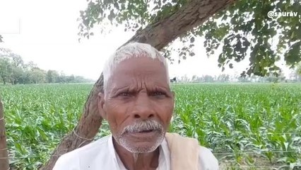 बदायूं : बारिश ने मचाया तांडव, किसानों की फसल हुई तहस-नहस अन्नदाता हुए परेशान