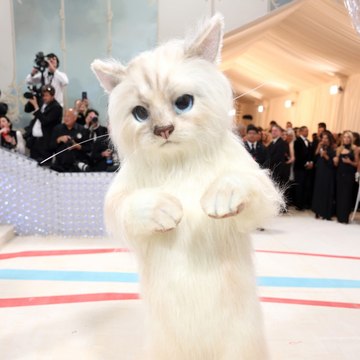 2023 Met Gala: Jared Leto dresses up as Karl Lagerfeld's cat Choupette