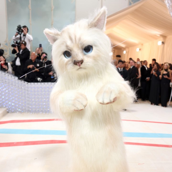 2023 Met Gala: Jared Leto dresses up as Karl Lagerfeld's cat Choupette