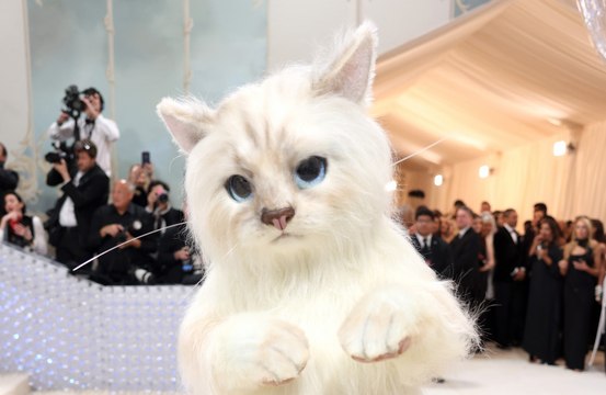 Jared Leto se veste como gata de estimação de Karl Lagerfeld no Met Gala 2023