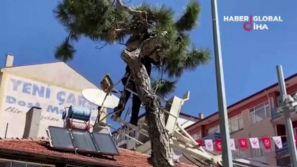 Ağaçta mahsur kalan kediyi itfaiye kurtardı