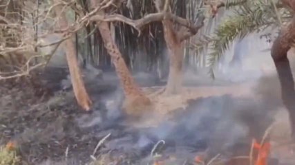 वैशाली: बधार में अचानक भीषण आग लगने से लाखों की संपत्ति हुआ स्वाहा, जानिए खबर