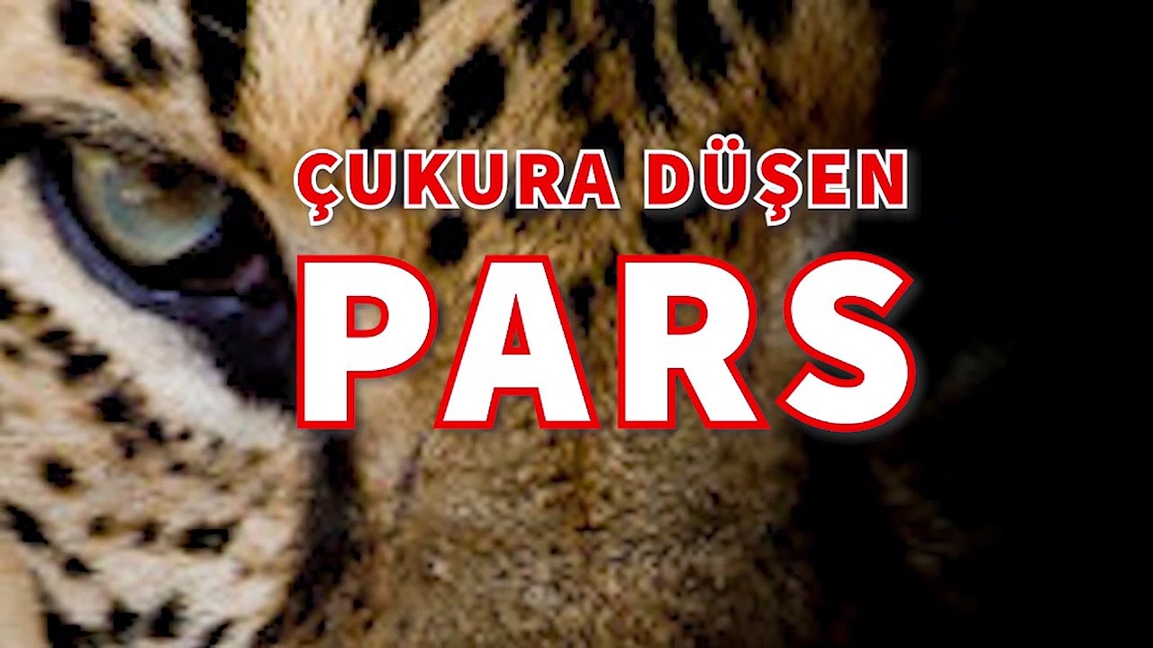 Çukura Düşen Pars - Ezop Masalı -  Süleyman Sönmez