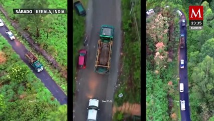 En India, capturan a elefante que mató a seis personas y robó arroz de almacenes