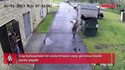 Okulda ayı şoku! Çöp kutusunda 'kalp krizi' geçirtecek pusu