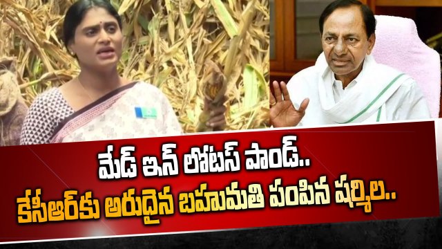 CM KCR కు షర్మిల మరో గిఫ్ట్..ప్రగతిభవన్ కు ట్రక్కు | Telangana Rains