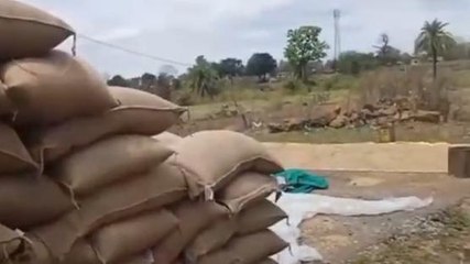 लापरवाही: हजारों क्विंटल गेहूं बारिश में भीगा,बेपरवाह दिखा प्रशासन