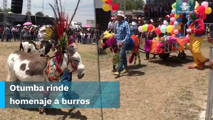 “El burro faraón” se corona en la Feria Nacional del Burro