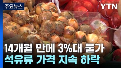 14개월 만에 3%대 물가..."둔화 흐름 지속" / YTN