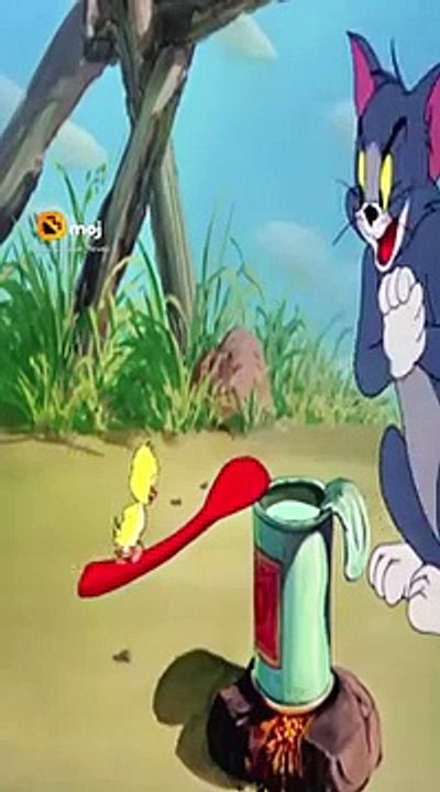 Tom and Jerry cartoon moments