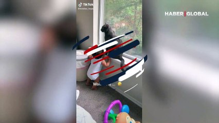 Küçük çocuğa patisiyle tam vuracakken... Söz dinleyen kedi kamerada