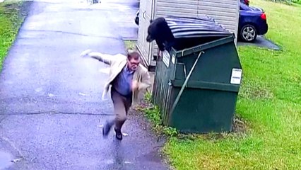 Must See! School Principal Comes Unexpectedly Nose-To-Snout With a Black Bear Caught in a Dumpster