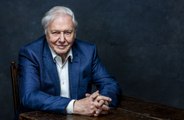 Sir David Attenborough has been chosen to represent Earth in the Galactic Federation
