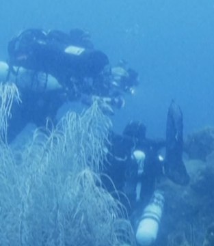 En Guadeloupe, cette expédition explore la vie des grandes profondeurs