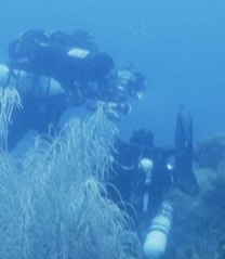 En Guadeloupe, cette expédition explore la vie des grandes profondeurs