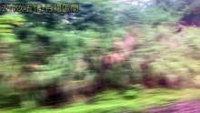 4月15日224次柴聯自強號松山到瑞芳搭乘紀錄