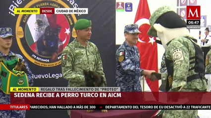 Sedena recibe a perrito rescatista donado por Turquía en el AICM