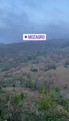 Sonido de los lobos en el monte de El Mozagro, Cantabria