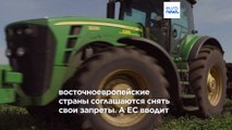 Подоплёка соглашения об импорте украинского зерна в Евросоюз