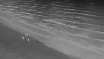 Police save life of woman in freezing sea with help from asylum seekers