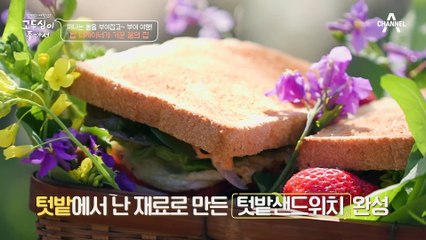 [#고두심이좋아서] 들어가자마자 바로 반해버린 두심♥ 자연과 함께하는 힐링 그 자체, '꿈의 집' #고두심 #이원종