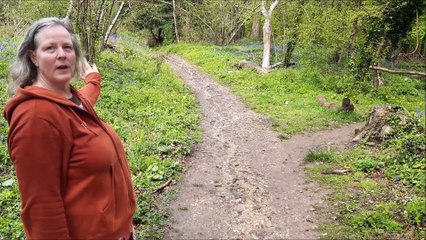 Watch our guide to the National Trust walk around the Slindon Estate to Nore Hill Folly