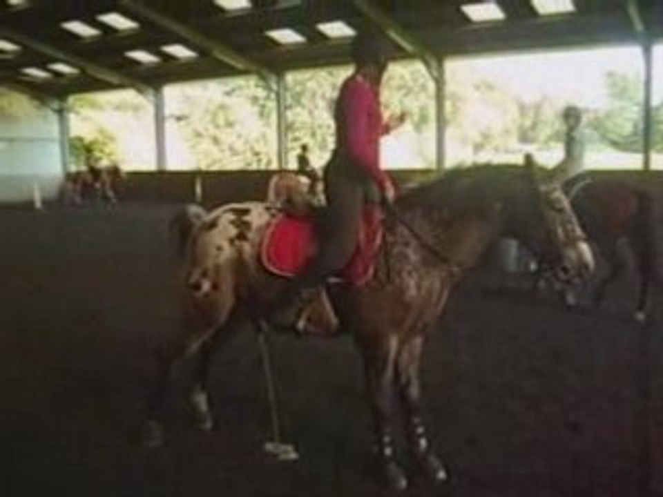Les filles du cheval