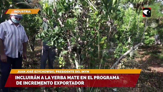 Misiones | Desde el sector de la producción de yerba mate, celebraron la incorporación de nuevas maquinarias con tecnología de punta